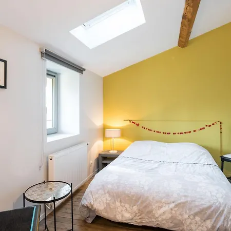 Bambou - Old And Charming House Écully